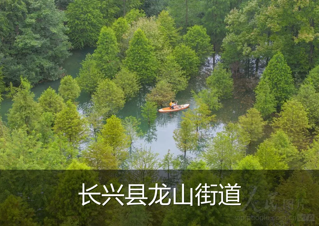 长兴县龙山街道